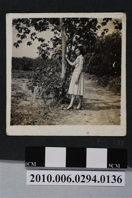 女子獨照 (共1張)