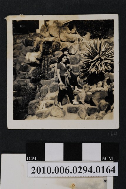 二人合照 (共1張)