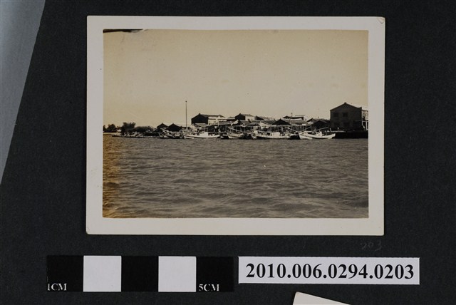 岸邊一景 (共1張)