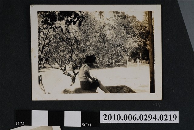 女子獨照 (共1張)