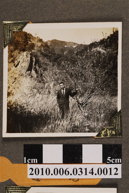 穿西裝男子於谷關附近獨照 (共4張)