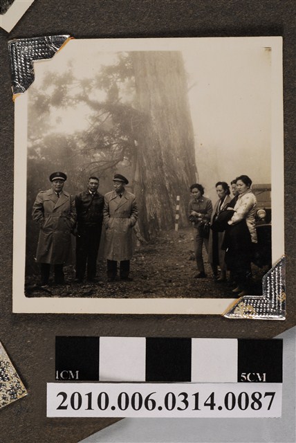 七名男女於碧綠神木旁合照 (共4張)