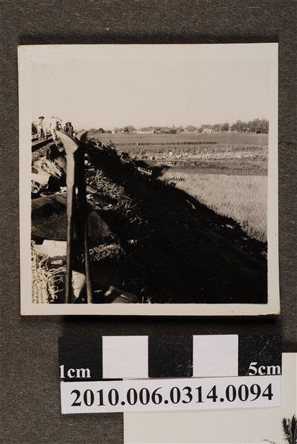 屏東線鐵道鋪設工作照1 (共2張)