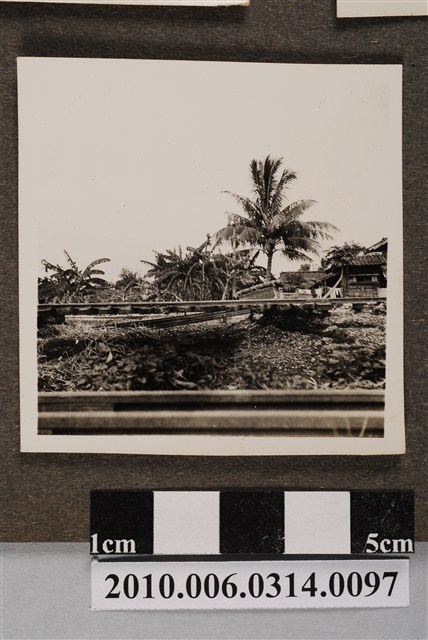 屏東線鐵道鋪設工作照4 (共2張)