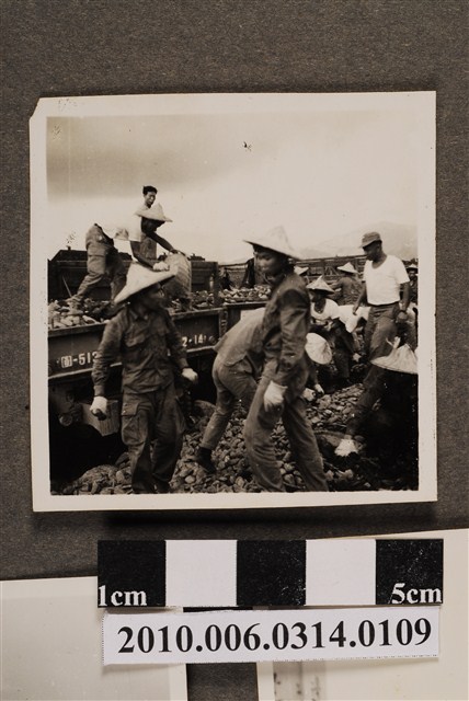 屏東線鐵道鋪設工作照16 (共2張)