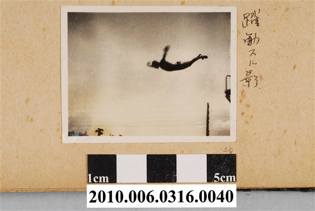 躍動剪影 (共1張)