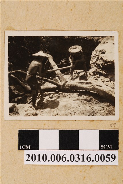 二人鋸木剪影 (共1張)