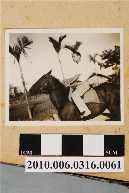 男子騎馬照 (共1張)