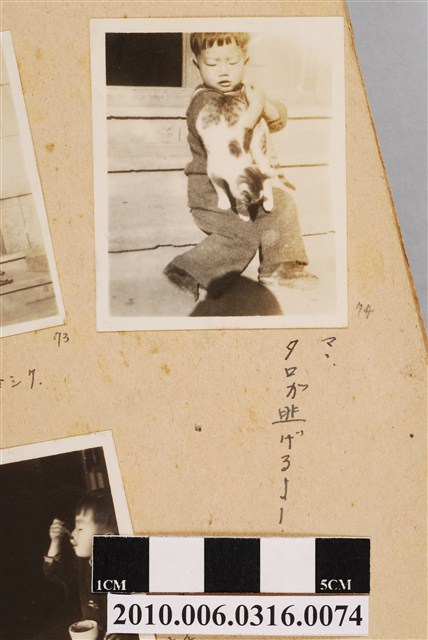 兒童與貓 (共1張)