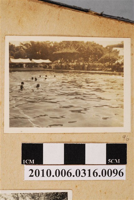 泳池剪影 (共1張)