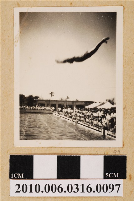 跳水剪影 (共1張)