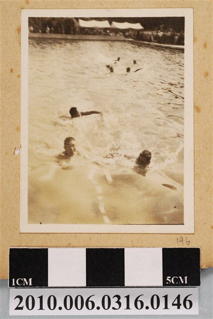 游泳剪影 (共1張)