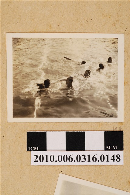 游泳剪影 (共1張)