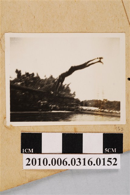 入水瞬間 (共1張)