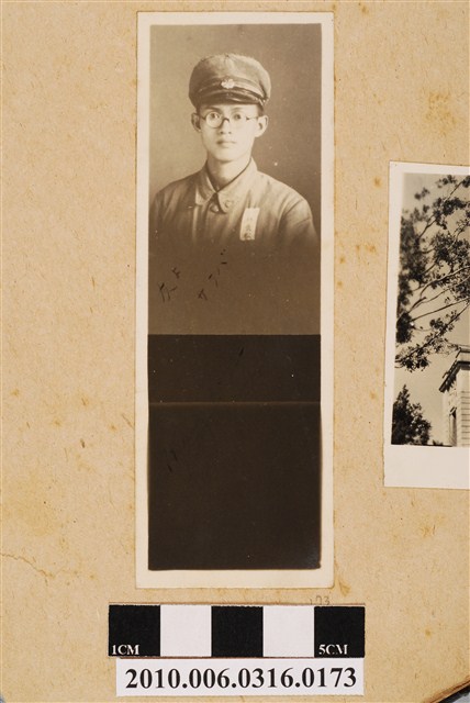 ？長松獨照 (共1張)