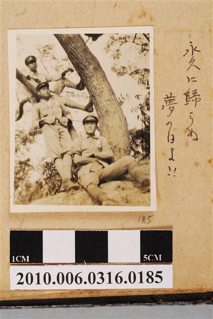 三人合照 (共1張)