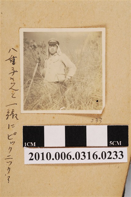 八重子獨照 (共1張)