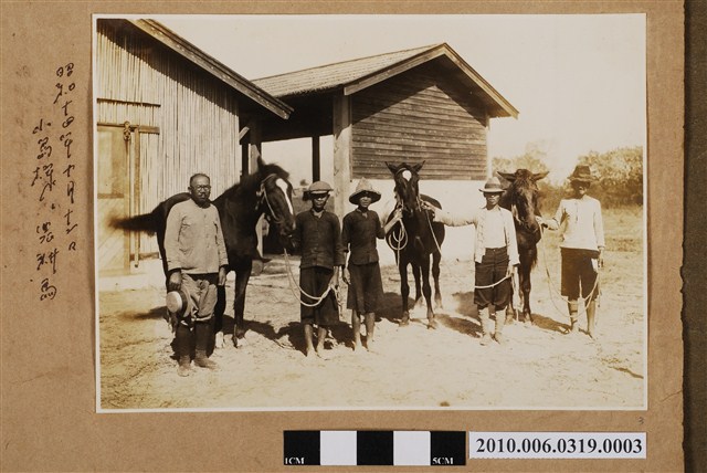 小島等人與農耕馬 (共1張)