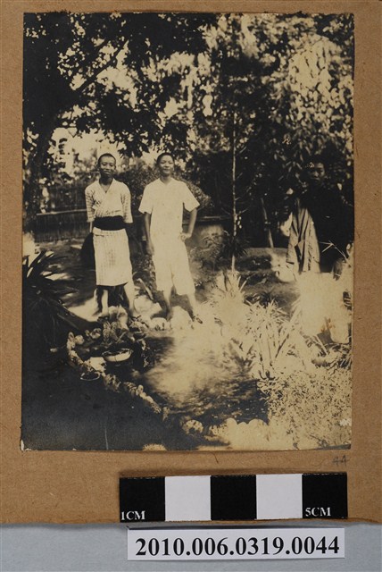 三人合照 (共1張)