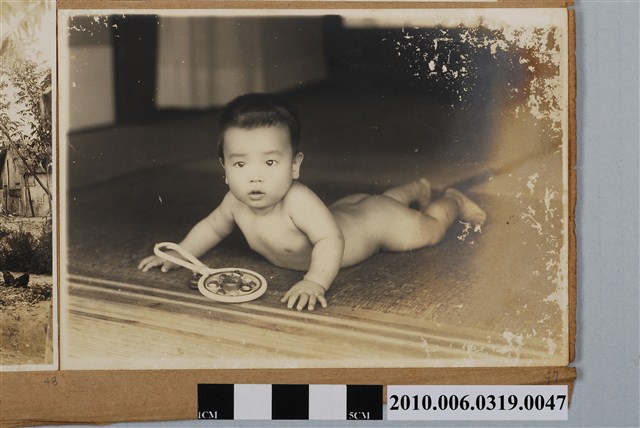 嬰兒獨照 (共1張)