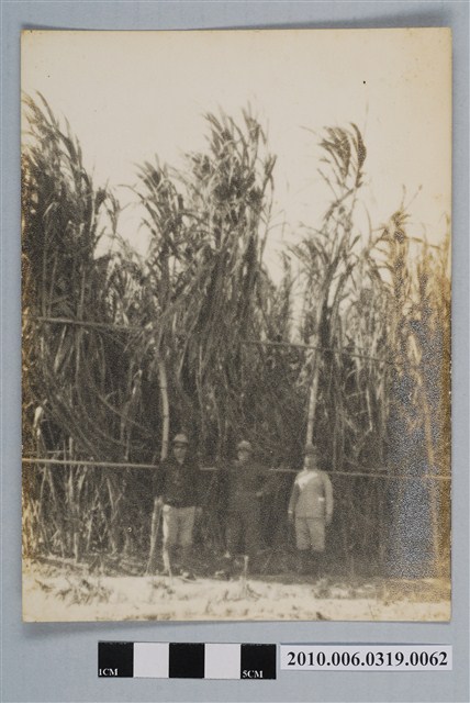 蔗園三人合照 (共2張)