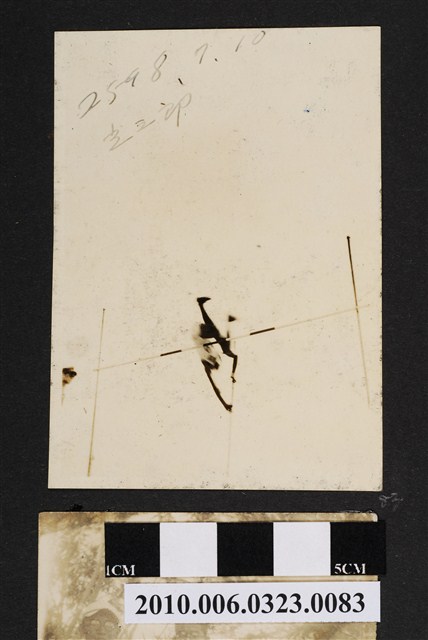 男子撐竿跳照 (共1張)