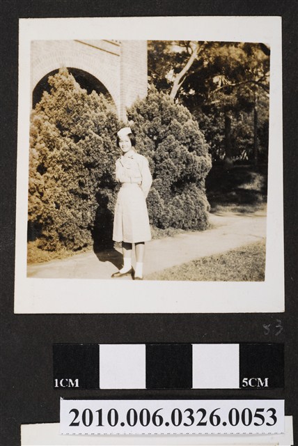 女子獨照 (共1張)