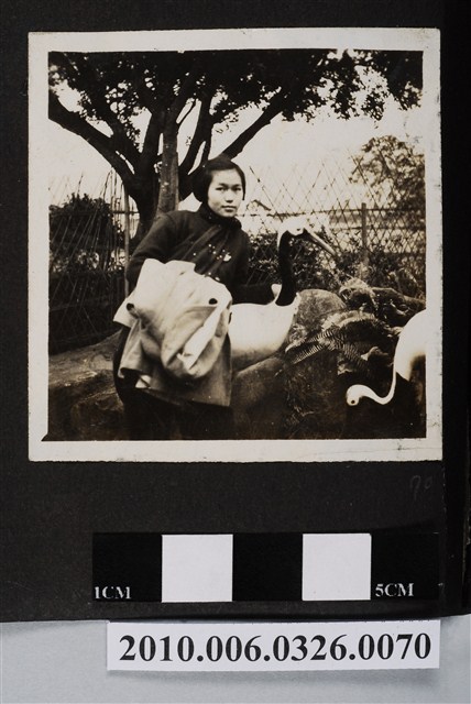 女子合照 (共1張)