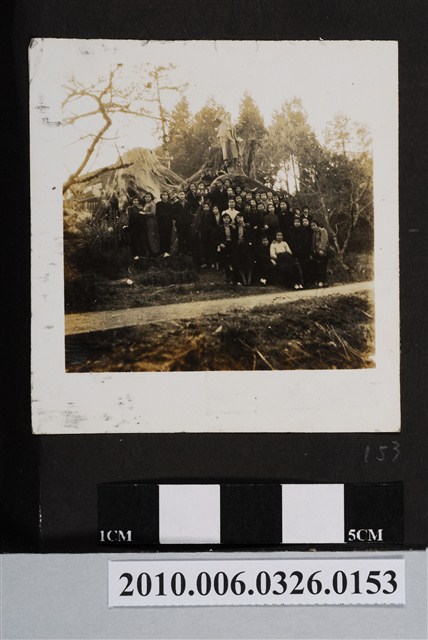 眾人於阿里山三代木合照 (共1張)