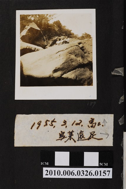 烏來遠足合照1 (共1張)