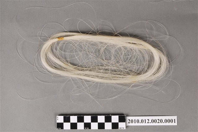 透明漁線 (共4張)