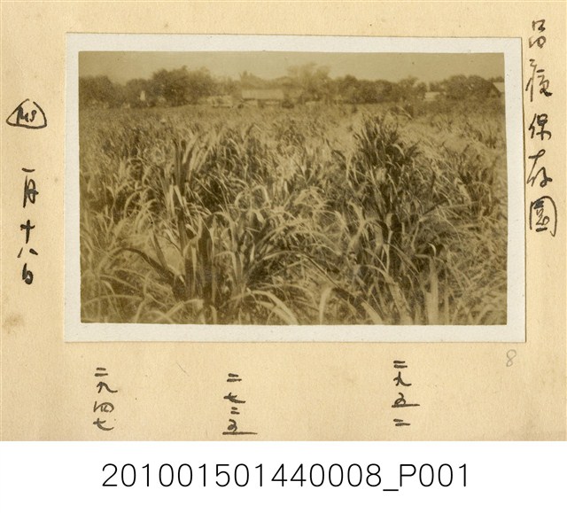 品種保存園照片 (共1張)