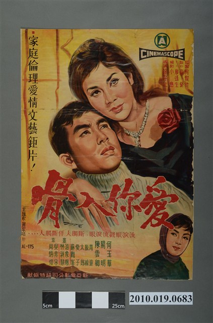 《愛你入骨》電影海報 (共2張)