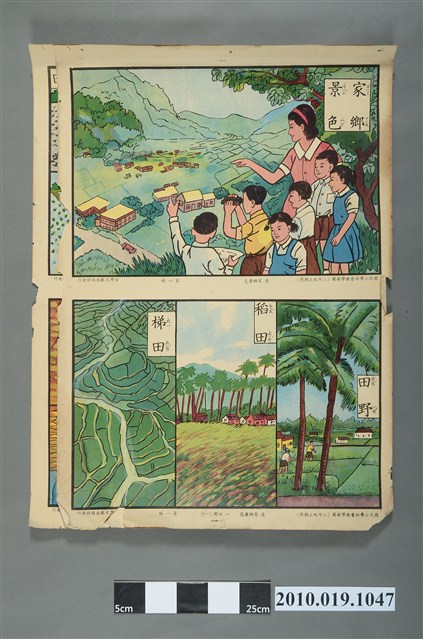 臺灣文教出版社國民小學社會二年級上期教學掛圖 (共2張)