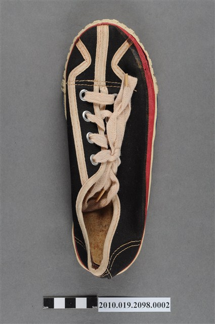 臺灣特野馬帆布鞋右足 (共7張)