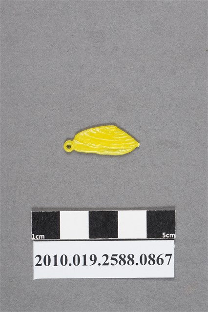 蚌殼尪仔仙 (共2張)