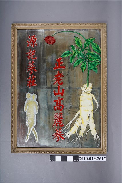 源記蔘莊正老山高麗蔘鏡 (共4張)