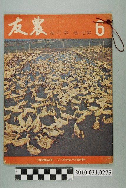 臺灣省農會《農友》第21卷第6期 (共4張)