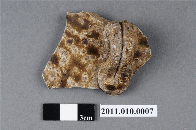 四繫褐釉罐殘片 (共4張)