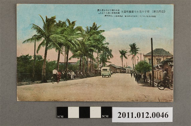 臺灣高雄新濱町椰林道 (共3張)