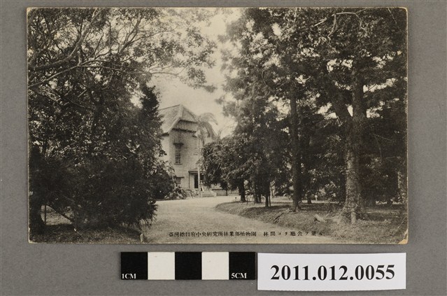 臺北折井寫真製版印刷臺灣總督府中央研究所林業部植物園 (共3張)