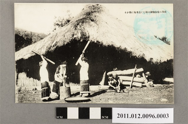 搗小米的鄒族婦人 (共3張)