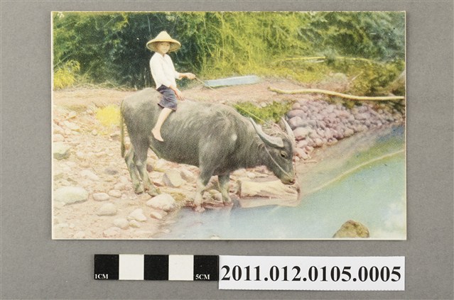 臺北市菊元百貨店發行牧童 (共3張)