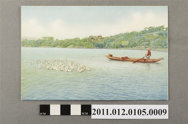 臺北市菊元百貨店發行養鴨 (共3張)