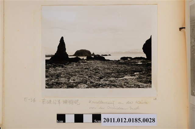 蘭嶼沿岸珊瑚礁 (共1張)