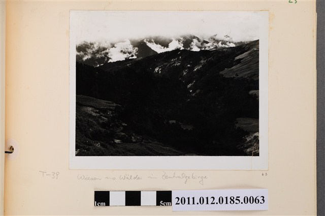 中央山脈森林之一 (共1張)