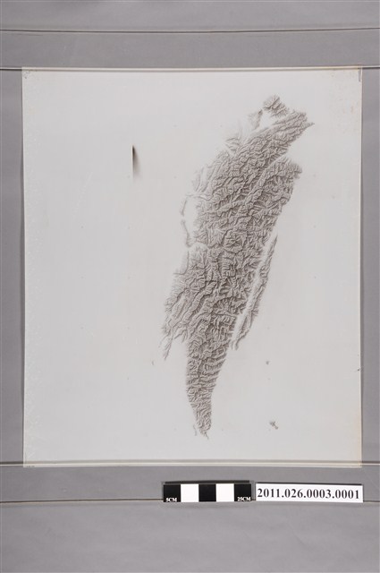 吳信政編輯臺灣衛星影像臺灣地形圖之一 (共2張)