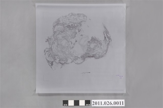 吳信政編輯北半球水域等高線圖 (共2張)