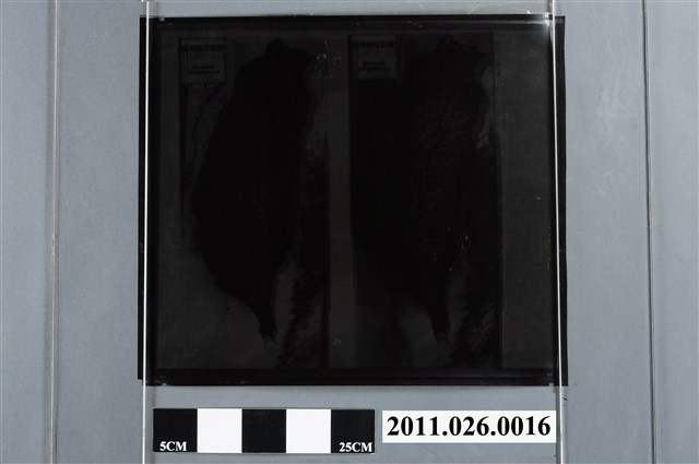 吳信政編輯臺灣衛星影像 (共2張)