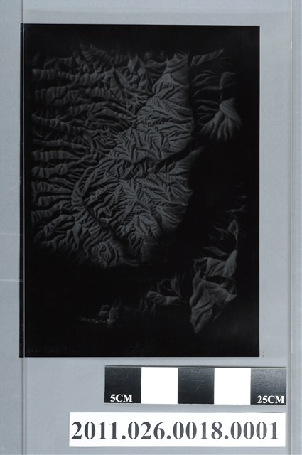 吳信政編輯地形圖局部之一 (共2張)